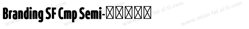 Branding SF Cmp Semi字体转换